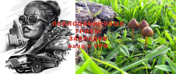 прущая мука Покров