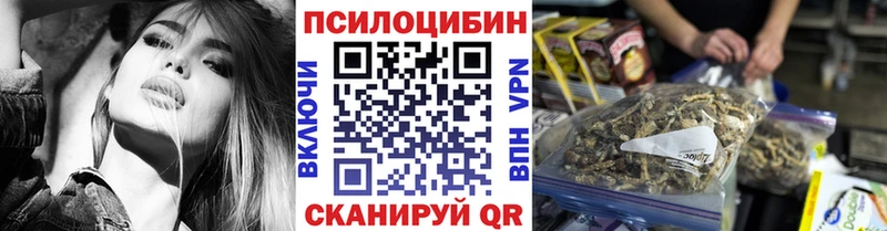 цена наркотик  Елец  Псилоцибиновые грибы Psilocybe 