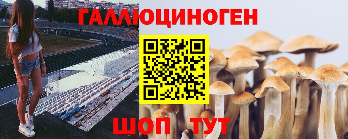Галлюциногенные грибы мицелий  Вход с VPN  Елец 