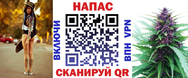 Каннабис сатива  купить   Елец 