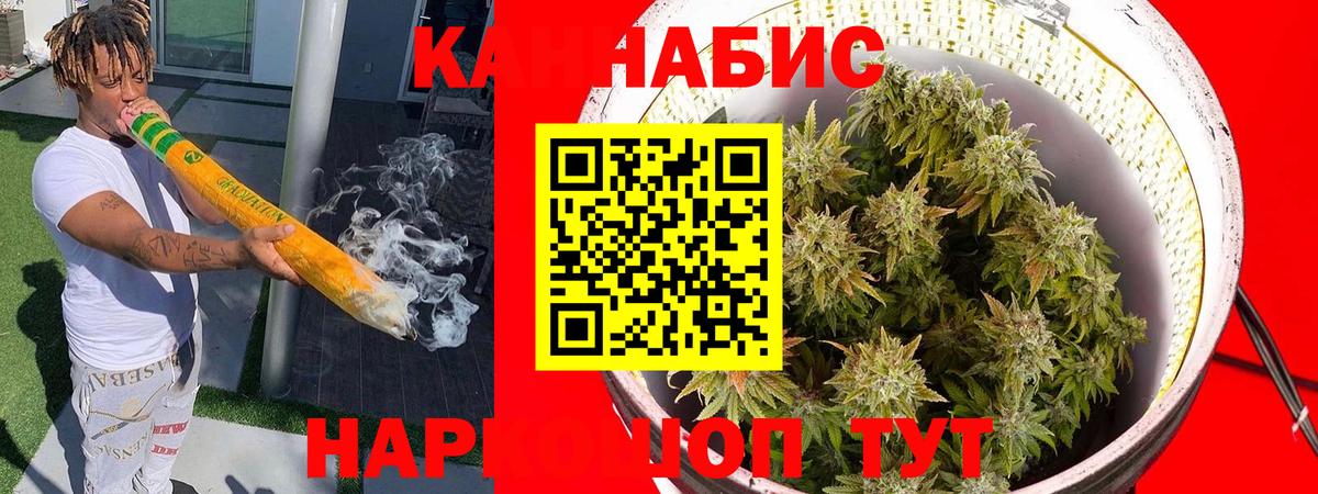 Каннабис гибрид Елец